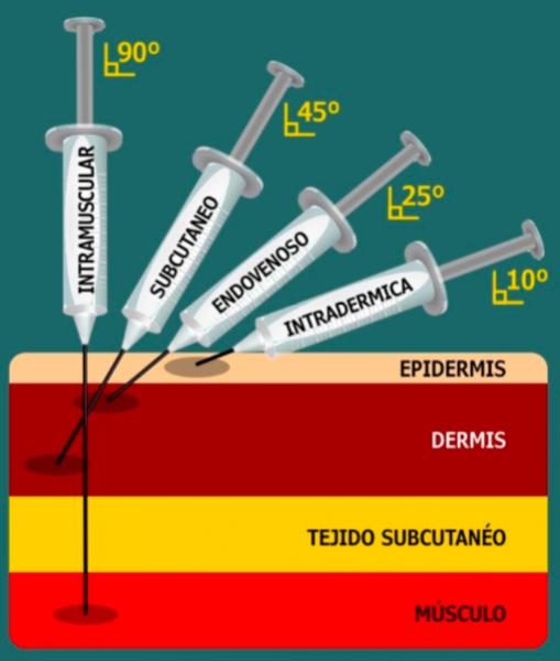 Print Crossword Puzzle ESTERILIZACION E INYECTABLES Inyectable