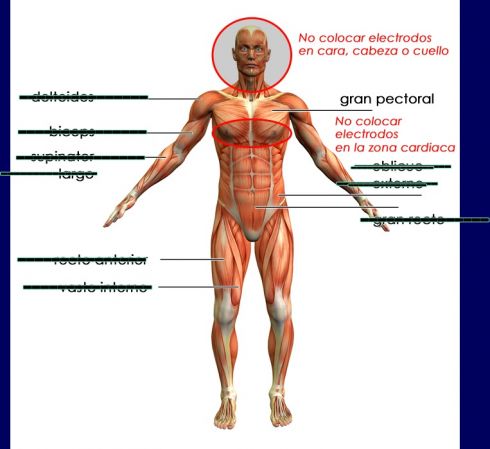 Print Map Quiz Partes Del Cuerpo Humano