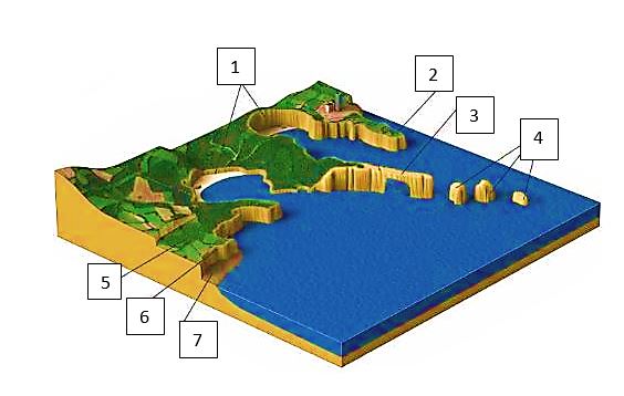 Print Map Quiz Formas Litorales De Erosi N Biolog A Biolog A Y