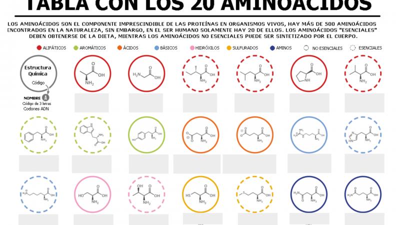 Print Map Quiz Tabla de los aminoácidos biología 2º Bachillerato