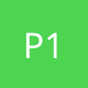 Petasse 13