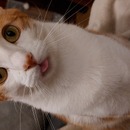 Ibai Garramiola Elkorobarrutia