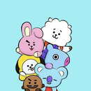 Maria Mercedes Calle Soria