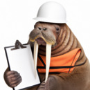 Walford, The American Safety Walrus