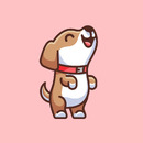 Estefanía García Muñoz