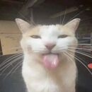 silllyy JL