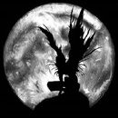 EQUIPO 03 PROMOCION Y EDUCACION EN SALUD