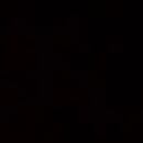 Joel David Madariaga Suárez