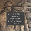 Angel Y. Chavez Olguin