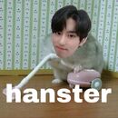 Han Jisung 