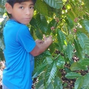 Victor GUTIERREZ VASQUEZ