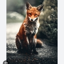 Mateo De Rodrigo Dávila