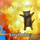 Shalom RiveraBautista401mat