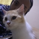 Fadia Evanie