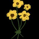 Arellano Verduzco Anabel primero 1  