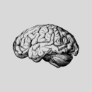 NeuroiF 