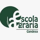 hgandesa@gmail.com 