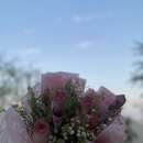 DrissHchfucu Buthina