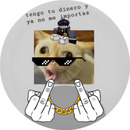 SOYCYVEX988 