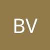 brayan viquez alvarez