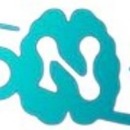 NeuroFinlay 