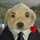 LUIS FELIPE COMUNICA