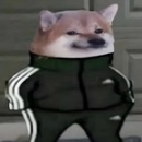 Jesse P