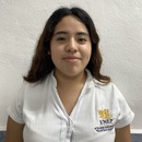 Cocom Canul Jaide Danayari