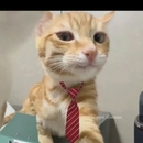 Axel 