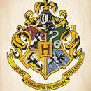 Markel Álvarez Sousa