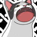 Augustinxd xd
