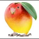 mango vip (* ￣︿￣) 