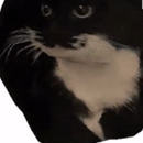 Adam Rouichi Mountassir