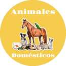 Animales Domésticos