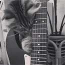 JohnDaltonReturns 