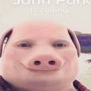 jon pork is calling you