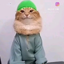 MUHAMMAD AMIR FIRDAUS BIN SAHUDIN Moe