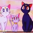 HANNA GORETTI GOLAC SANCHEZ