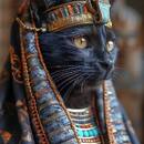 Cat Surname