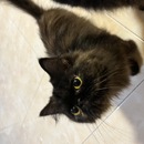 Kiki 