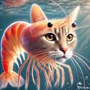 Kikillass 