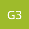 guz 303