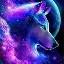 Alex Ruiz de Arcaute  Alegre