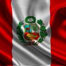 Joel D Castillo Campos