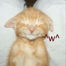 Mitzzz Juarezzz