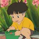 Ponyo Sosuke