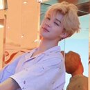 PJM 1995