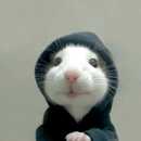 AGUST D