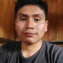 Danis Manchu