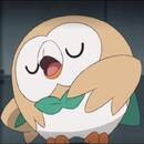 El profe Rowlet